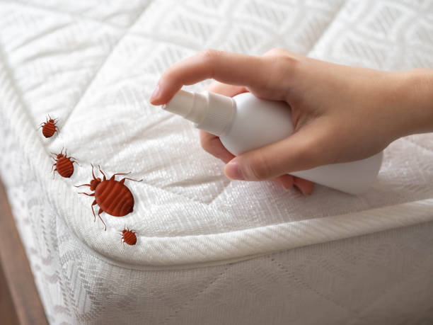 Best Pest Control for Multi-Family Homes  in Creswell, OR